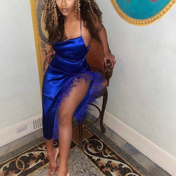 Nichole Lynel Va Va Voom Feather Dress - Picture 4 of 5